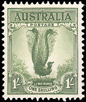 1 bob lyrebird